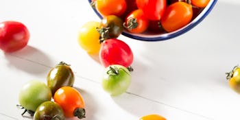 Gardening 101: planting and harvesting tomatoes