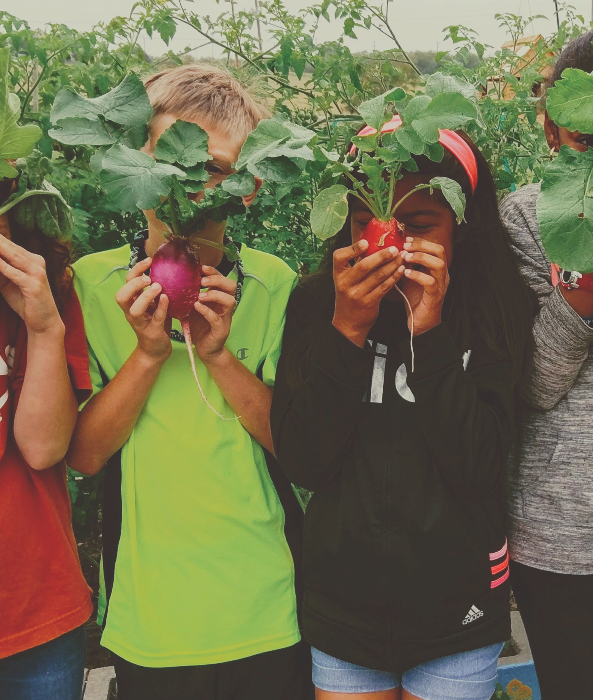 The EdEN Lab: Education, Evaluation, and Nutrition at the University of ...