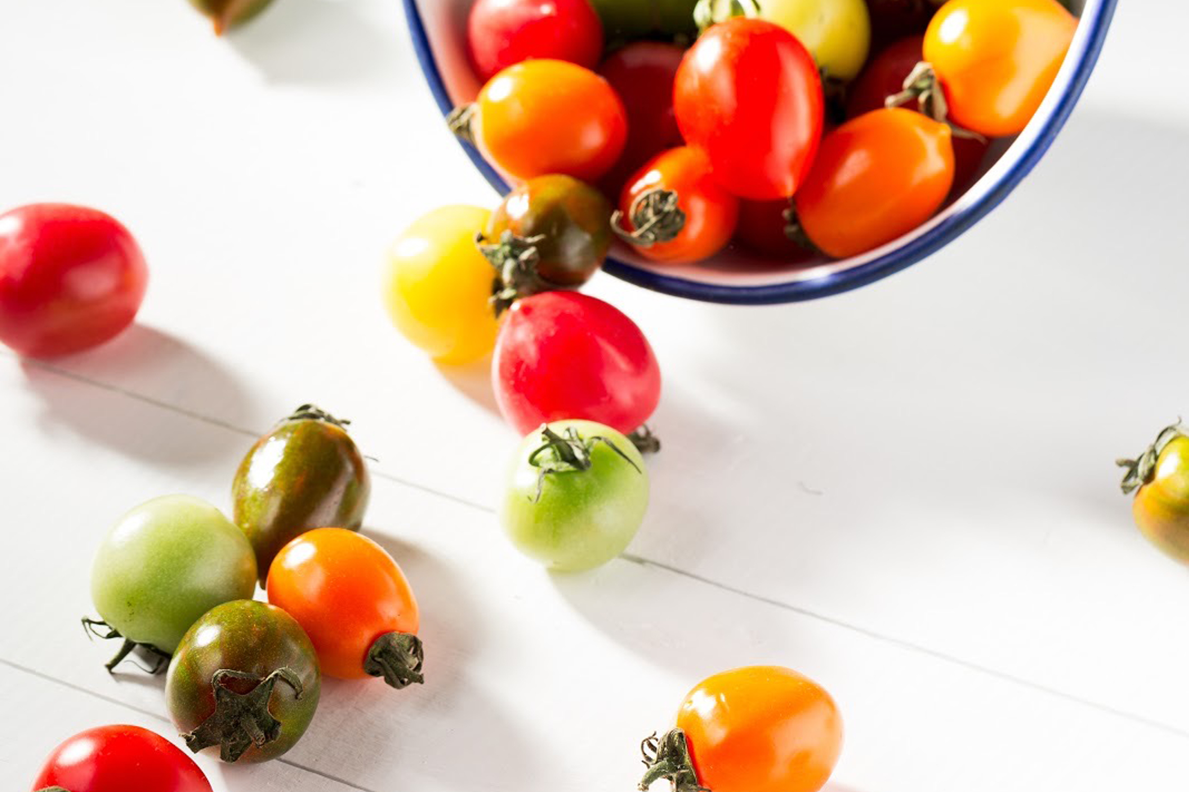 Planting and harvesting tomatoes UT Nutrition Institute